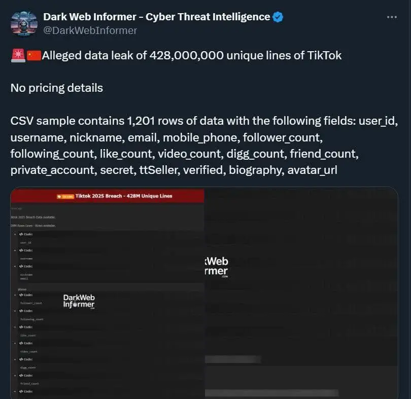 TikTok Data Leak